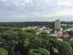 Rich Mansion (D10), Condominium #122181482